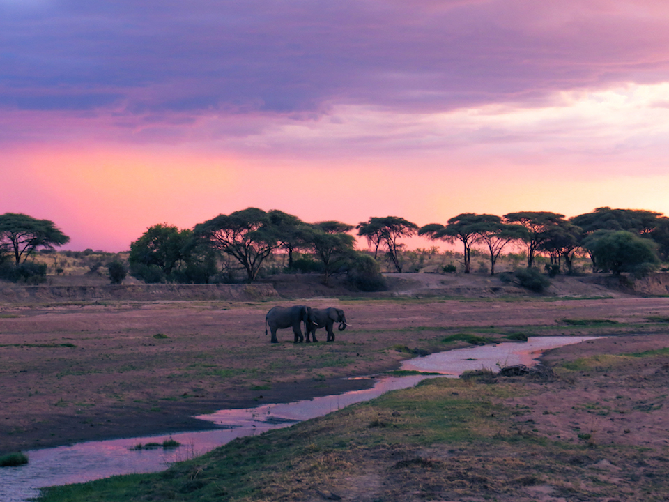 Ruaha National Park, Tanzania